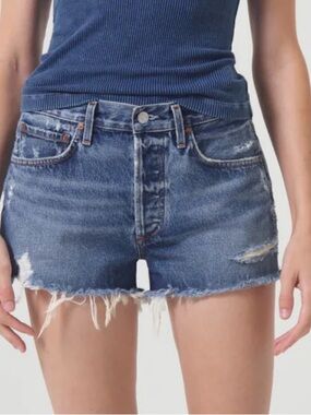 AGOLDE Parker Vintage Cutoff Shorts in Swapmeet Dark